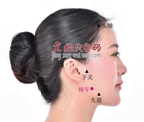 颊车的准确位置图图片