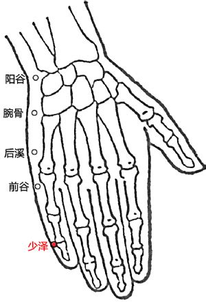 少泽的准确位置图图片