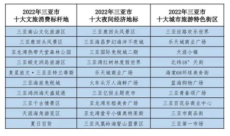 2022年三亚旅游市场特征分析报告_三亚市旅游推广局