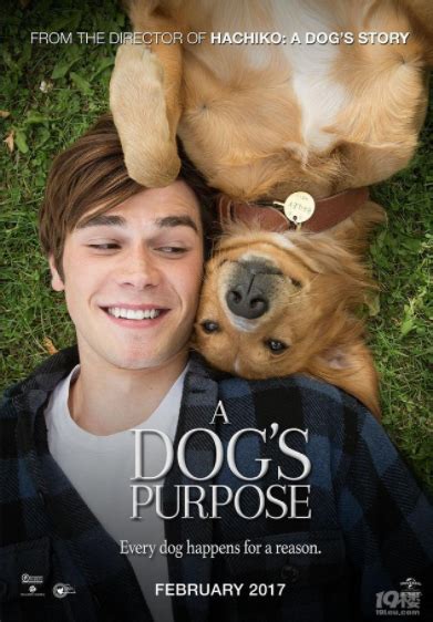 一条狗的使命（A Dog’s Purpose）经典台词 - 知乎