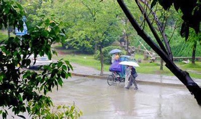 【图集】北京迎强降雨，多个公园关闭|界面新闻 · 图片