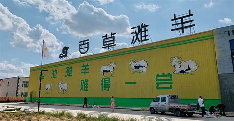公司介绍 - 百草滩羊-宁夏羊肉批发厂家,品牌加盟,多少钱一斤