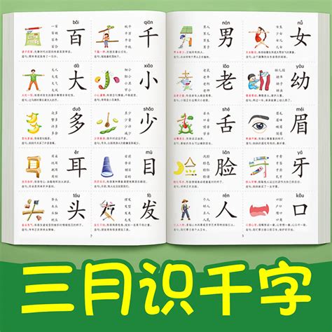 幼儿象形识字1200字儿童认字书趣味看图识字大王启蒙早教书籍神器幼儿园学前班升一年级识字卡片3000字每日一练幼小衔接教材全套_虎窝淘