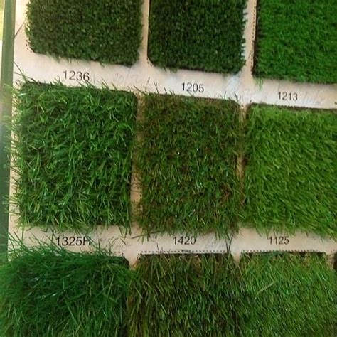 草坪种植一平方多少钱-花卉百科-绿宝园林网