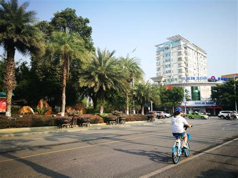 “立体增绿”让迎宾大道更具生命力-中国吉林网