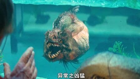 《食人鱼3D》：湖底震出大裂缝，释放出200万年前远古食人鱼！_电影_高清1080P在线观看平台_腾讯视频
