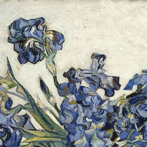 生命之花 | 梵高 Vincent van Gogh (1853-1890)|梵高|生命_新浪新闻