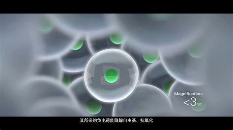 武汉大学化学与分子科学学院高分子系张先正 - 武汉大学