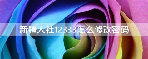 新疆人社12333怎么修改密码 - 业百科