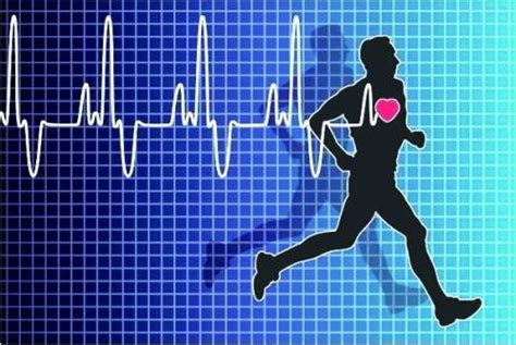 心脏康复网—心脏康复领域专业学术平台