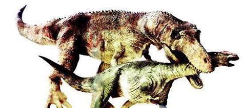 克拉玛依龙：新疆大型食肉恐龙（长11米/9750万年前）_小狼观天下