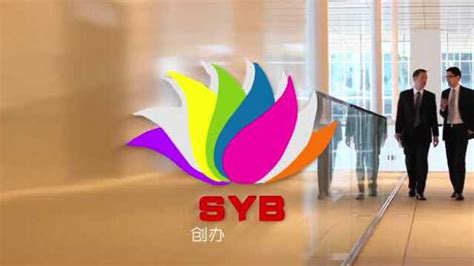 SYB创业计划视频_腾讯视频