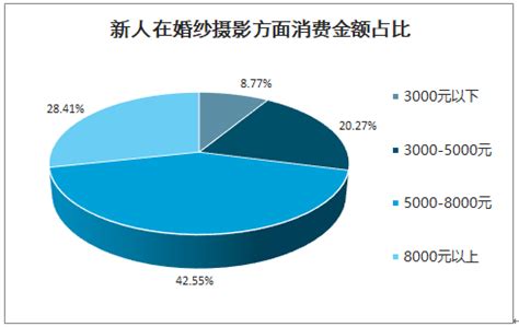 2018年中国婚纱摄影行业分析报告-市场运营态势与发展前景研究 - 中国报告网