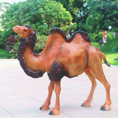 玻璃钢骆驼雕塑 (1)-宏通雕塑