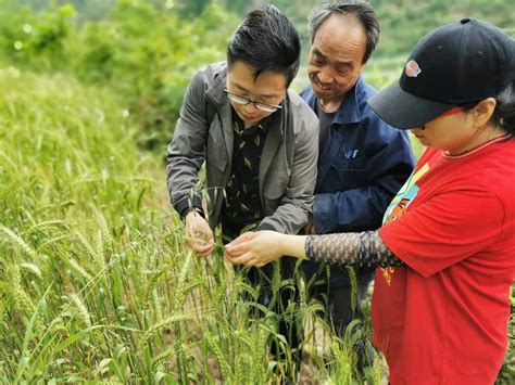 甘肃陇南：产业园里复工忙-人民图片网