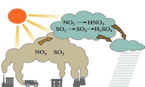 二氧化硫有什么特点