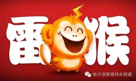 我猴雷赛啊你丢雷楼谋图片