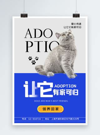 宠物带我爱心领养海报设计图片下载_psd格式素材_熊猫办公