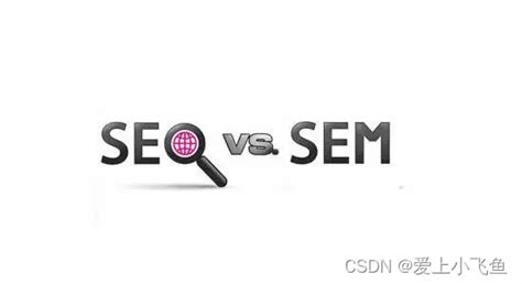 SEO和SEM之间的区别，如何正确选择网站优化和竞价？-【飞鱼浅谈】-CSDN博客