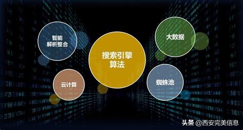 SEO优化 - 武汉新网科技 武汉网站建设 个性化网站建设 网页设计 页面设计 网络推广