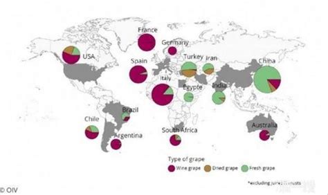 读图迅速了解全球葡萄种植分布，巨峰种植最广。|葡萄| 种植_凤凰酒业
