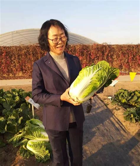 中国最常见的十大野菜品种，凤尾上榜，第五可以抗癌_排行榜123网