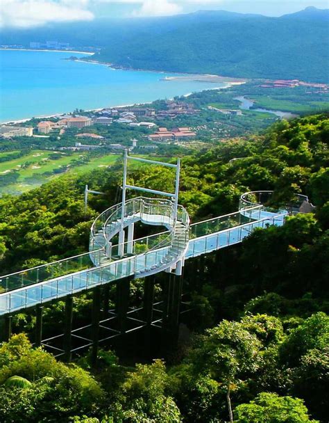 2023过江龙索桥游玩攻略,亚龙湾热带天堂森林公园，登... 【去哪儿攻略】
