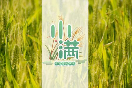 生物丧命 的图像结果