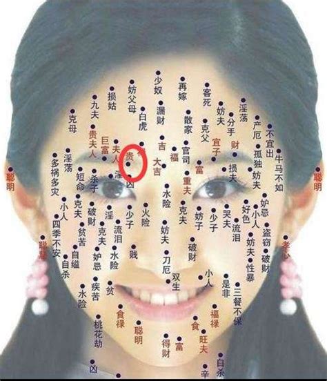 最准女人脸上的痣图解（一文分析女人脸上所有痣的位置解说图）-紫微星座网