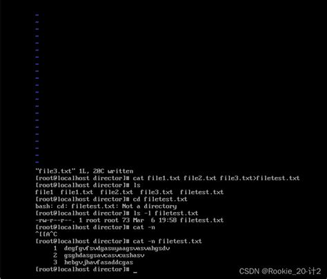 cp指令复制目录下文件linux - CSDN