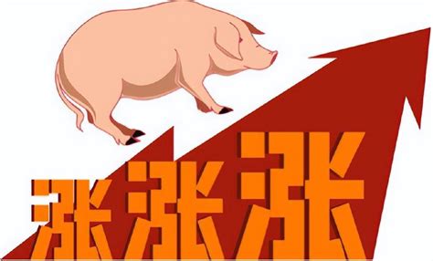 天邦食品董事长张邦辉：今年将是超级周期最后一年，未来规模化养殖会抚平猪周期 | 每经网