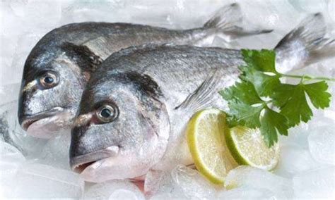GUO LIAN国联龙霸 东海国产小黄鱼1.2kg24-33条 精选深海鱼 家庭储备冰冻-商品详情-光明菜管家