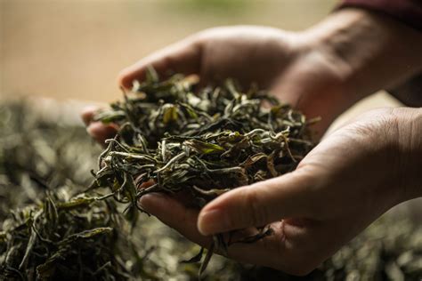 茶叶市场发展的“平凡之路”-茶和天下