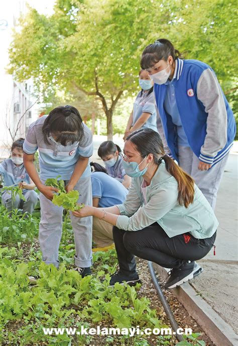 安师大学子三下乡：打理绿色菜园，传递人文关怀 - 多彩大学生网
