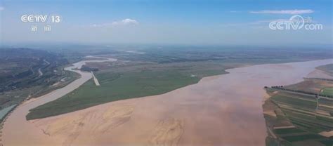 深壹点丨黄河水乡齐河聚力生态保护和高质量发展|工程|生态保护_新浪新闻