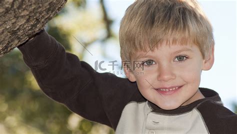 年轻男孩在树上高清图片下载-正版图片320960154-摄图网