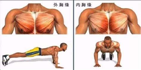 胸肌锻炼方法大全：（弹力绳锻炼胸肌）-健身吧