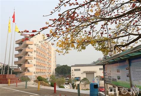 校友会2022九江市高职院校排名 ，九江职业技术学院稳居冠军 - 知乎