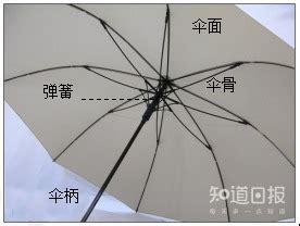 遮阳伞种类-羽蒙雨伞