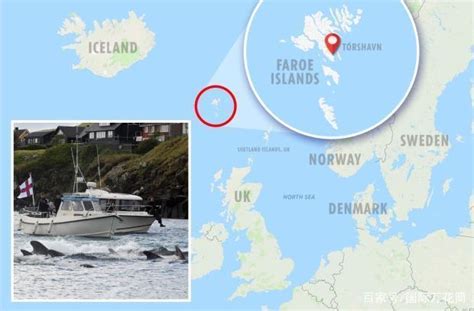 丹麦法罗群岛数百鲸鱼和海豚被捕杀！所望之处触目惊心 - 生男生女帮