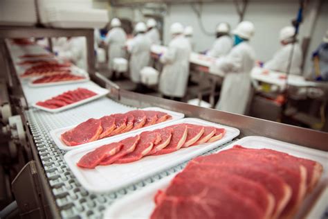 meat-processing-企业官网