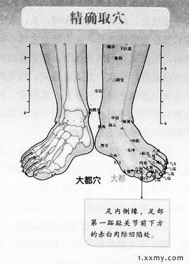 大都的准确位置图图片 大都的准确位置图图片