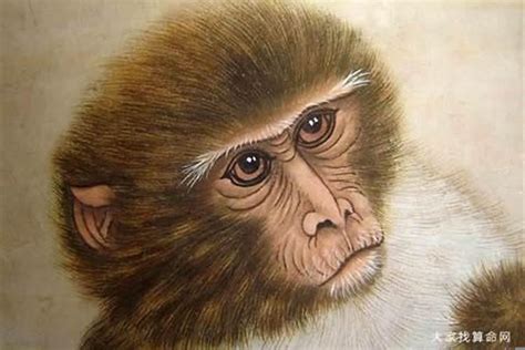 80年属猴的是什么命 1980属猴的人命运 - 万年历