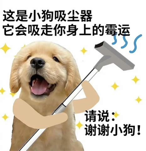 好运狗狗 快乐加满(动物手机动态壁纸) - 动物手机壁纸下载 - 元气壁纸