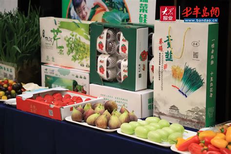 绿色盛会亮点满满！第二十四届寿光菜博会将于4月20日开幕-半岛网