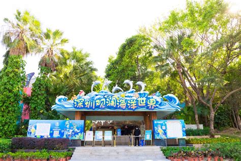 龙华发现：大型“净水池”观澜河人工湿地公园_深圳新闻网