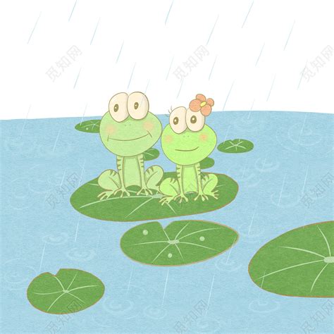 夏天夏日节气池塘边的青蛙图片素材免费下载 - 觅知网