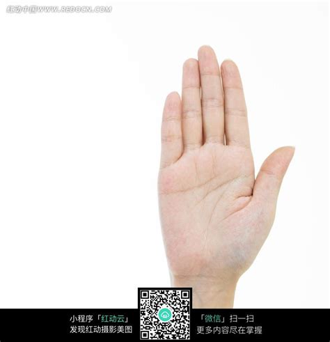 一只手的掌心特写图片免费下载_红动中国