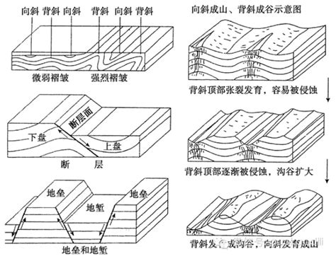 断层示意图图片