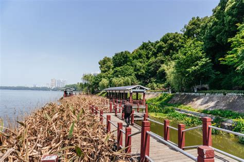 九江南湖公园,其它,旅游景点,摄影,汇图网www.huitu.com